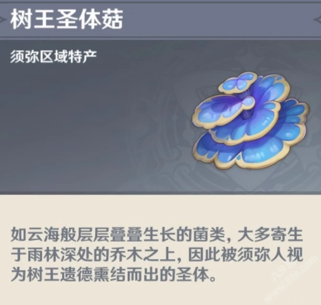 原神樹王聖體菇位置圖