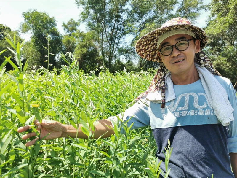 5月1日起室外免戴口罩　戶外活動業者樂見但保持謹慎