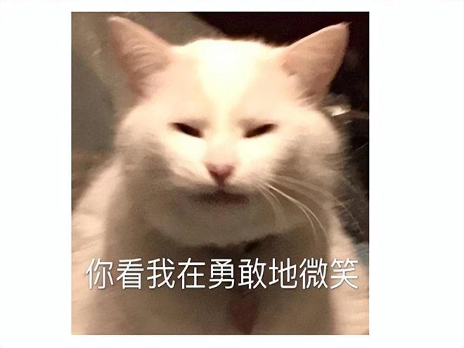 臨時工背鍋？Epic把200元的遊戲當88元的白送了，1個小時才發現