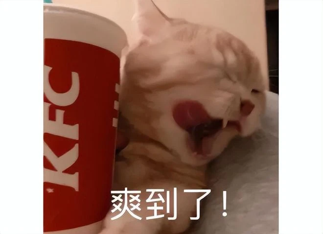 版署年底送驚喜！騰訊回了一大口血，網易射鵰二測戰鬥系統大改