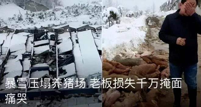 版署年底送驚喜！騰訊回了一大口血，網易射鵰二測戰鬥系統大改