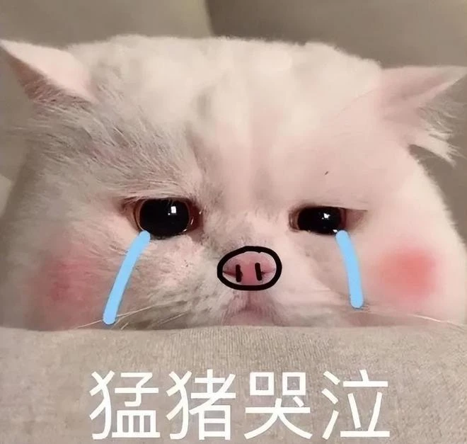 版號發了，小馬哥樂了！2022年度表現最好的兩款網遊即將上線？