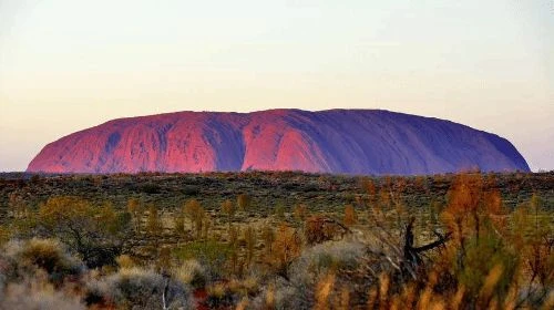 玩家熱議十代《寶可夢》設計的國家原型 或為澳大利亞