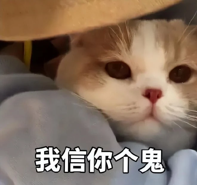 最有牌面工作室？不但沒有被罵，官方還把帶頭人做成NPC供人敬仰