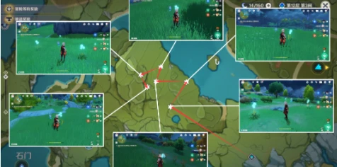 原神蒲公英籽採集圖2023