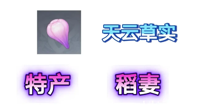 原神天雲草實176個詳細位置