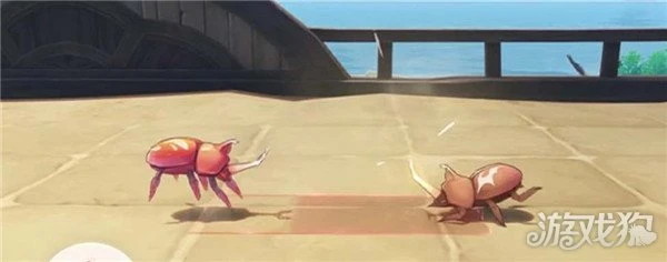 原神斗蟲活動怎麼玩 3.4新活動介紹