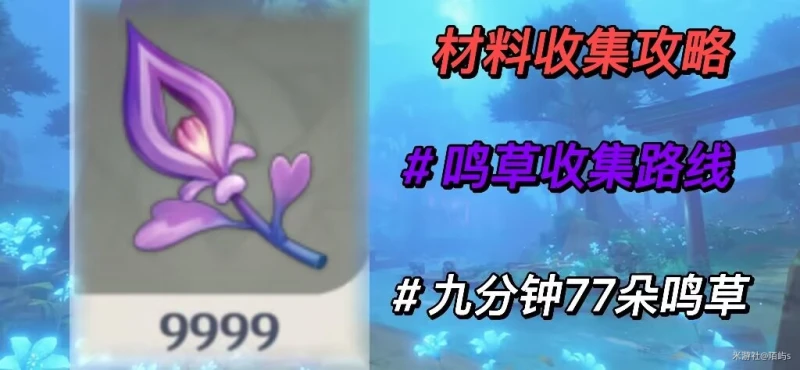 原神鳴草採集路線2023