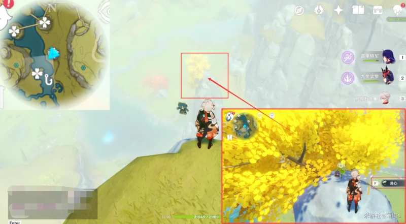 原神清心採集路線2023