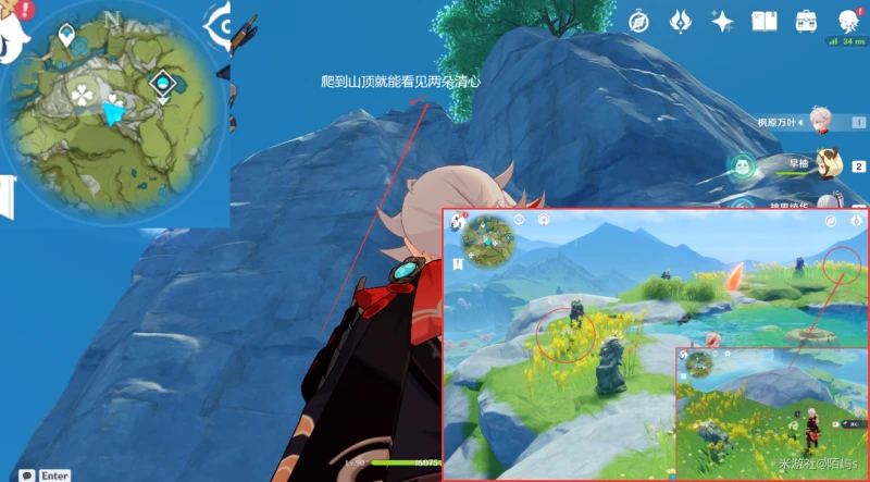 原神清心採集路線2023