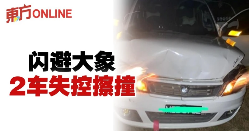 大象過馬路肇禍　2車失控擦撞
