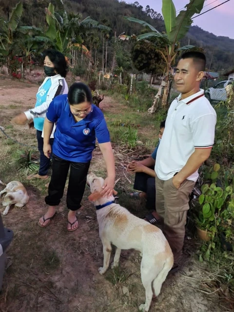 IAPWA與市政廳結紮項目 5流浪狗獲村民領養