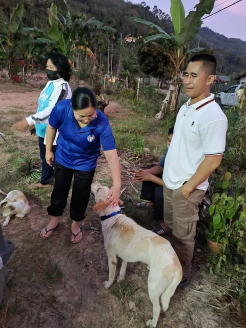 IAPWA與市政廳結紮項目 5流浪狗獲村民領養