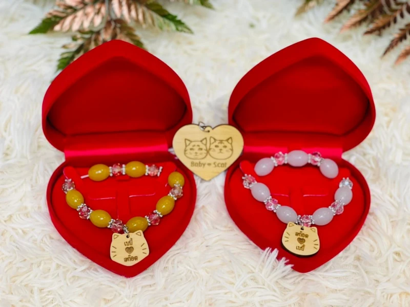 泰飼主給喵星人辦婚禮　請來貓賓客在貓酒店辦桌