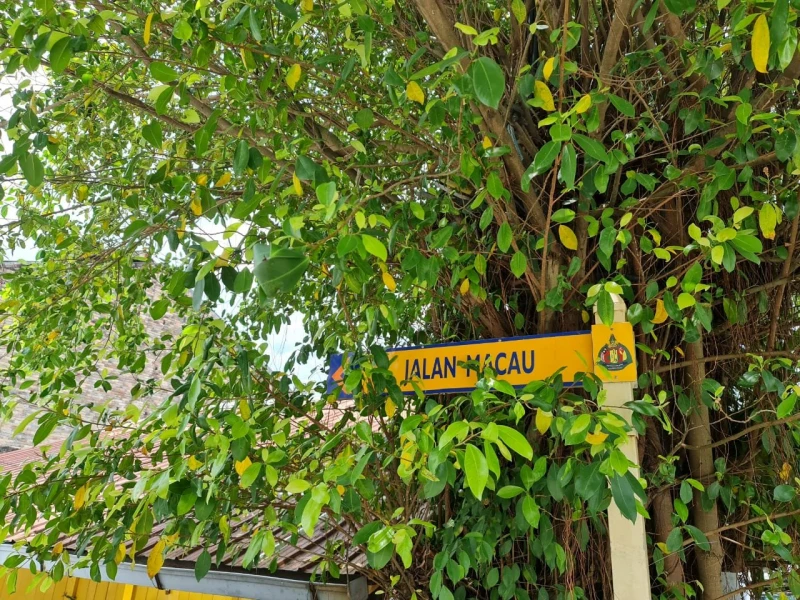 雷子健：馬交街滄桑舊夢