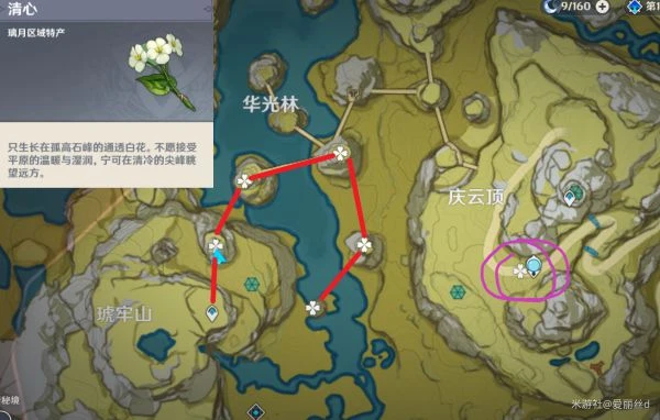 原神2023清心採集路線匯總