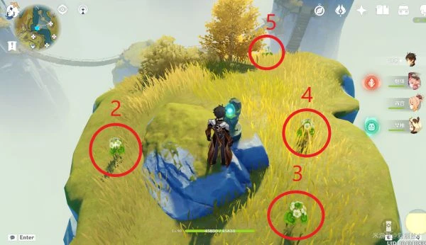 原神2023清心採集路線匯總