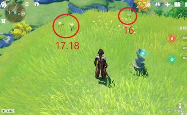 原神2023清心採集路線匯總