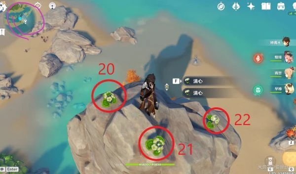 原神2023清心採集路線匯總