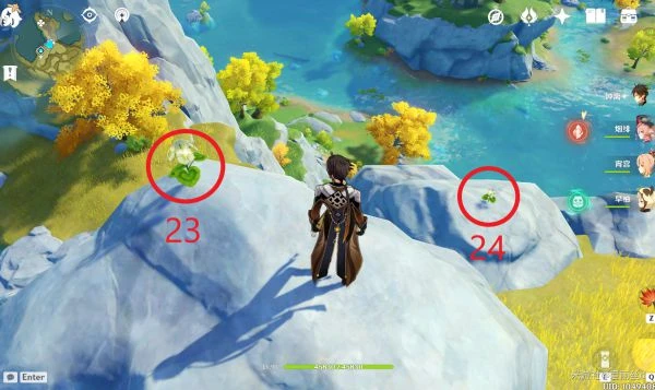 原神2023清心採集路線匯總