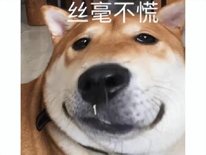 網易開始發力搞事？停運2年的老遊戲復活，第二次頭鐵對剛暴雪！