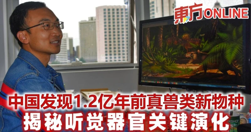 中國發現1.2億年前真獸類新物種　揭秘聽覺器官關鍵演化