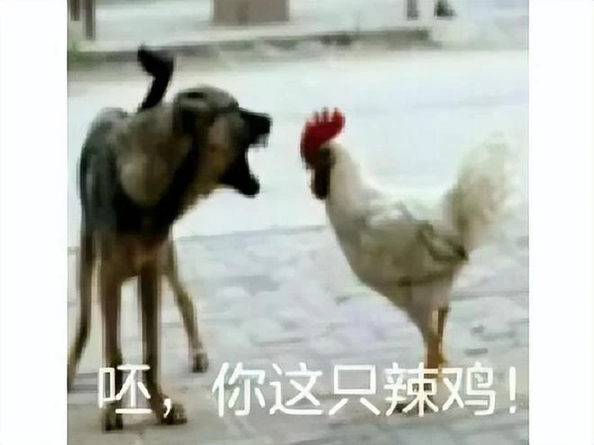 《失落的方舟》台服開服前6小時宣布延期，重開無期，玩家炸鍋了