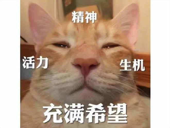 失落的方舟台服延期早有預謀？運營商股票大跌，網友：只剩失落