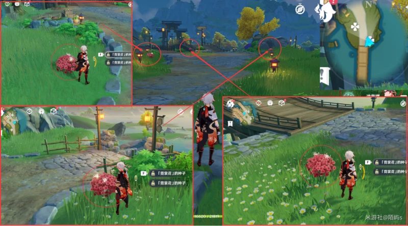 原神霓裳花採集路線2023