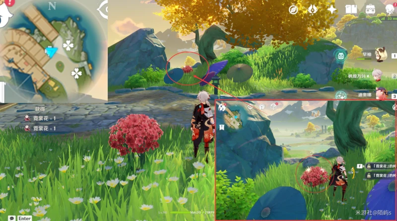 原神霓裳花採集路線2023