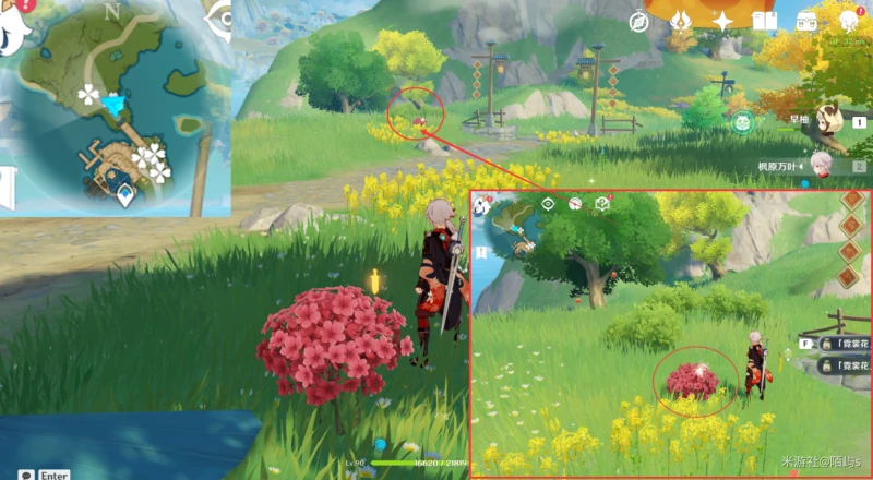 原神霓裳花採集路線2023