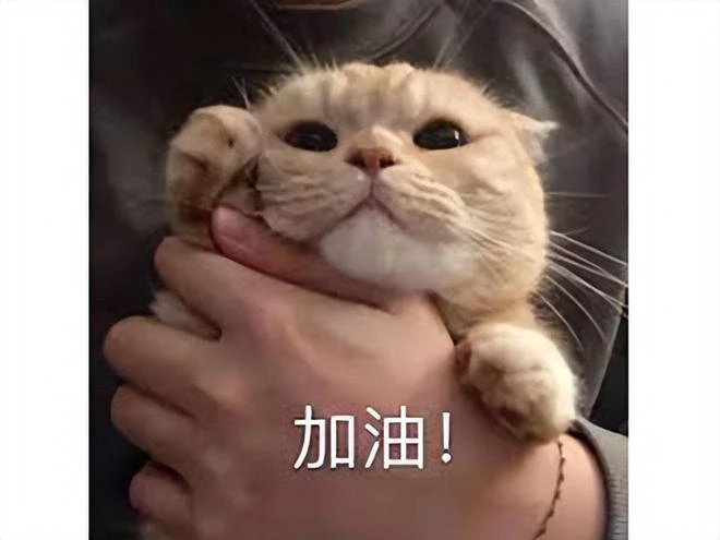 又一國產開放世界武俠遊戲？Steam僅有39%好評，玩家：依託答辯