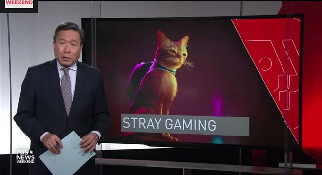 《迷失》發行商聯合慈善機構幫助現實流浪貓