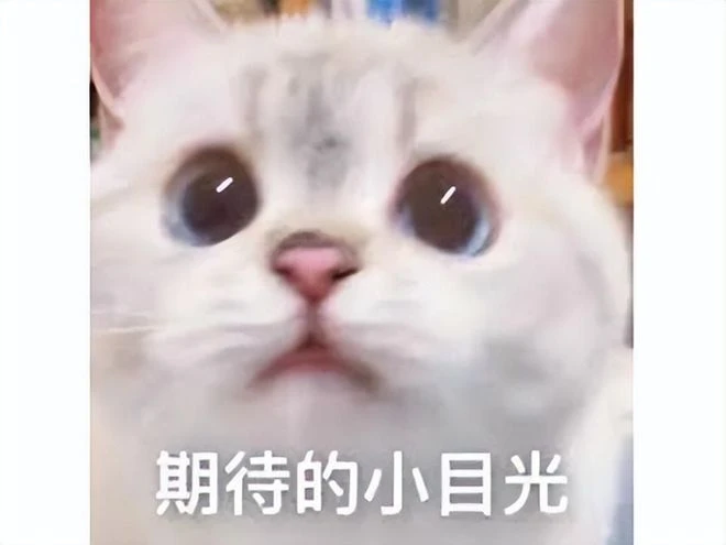 時隔548天拿下進口版號的韓國遊戲，想暴打原神？玩家：不如幻塔