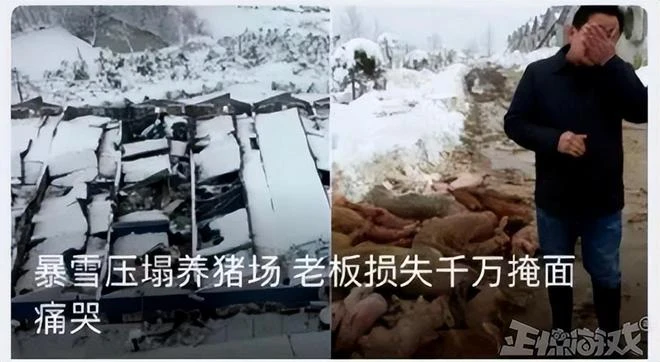 暴雪今年贏麻了！暗黑手游5個月賺3億，守望用戶破3500萬