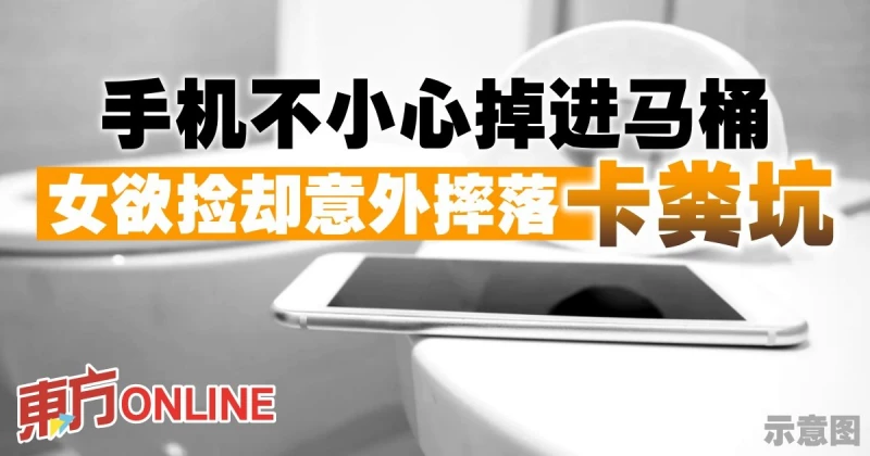 手機不小心掉進馬桶　女欲撿卻意外摔落卡糞坑