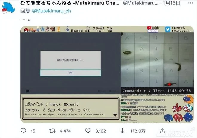 被魚盜刷信用卡？日本主播一個騷操作，百萬網友圍觀嘲諷！