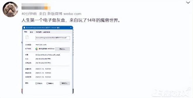 真賽博葬禮？電子骨灰盒被曝BUG太多，暴雪回應：數據丟了怪網易
