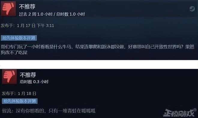Mirror2開發商，新作上架Steam就被噴，玩家：不好玩也不能澀澀