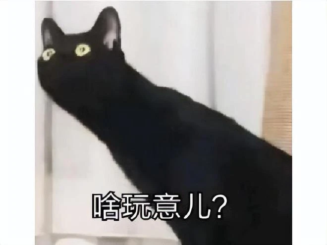 倒霉玩家被好友給坑了，意外拍女生PP，傳到公會成了痴漢