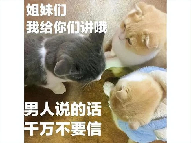 遊戲開服即炸服，大手筆給玩家送價值1800抽卡，現在停運涼涼了