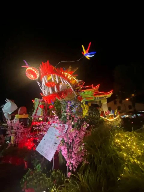 列入大馬紀錄大全　古晉18.88公尺環保龍亮燈