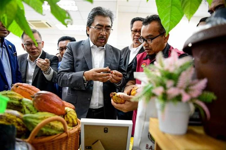 政府特別批准種植業聘外勞　佐哈里：目前需約4萬工人