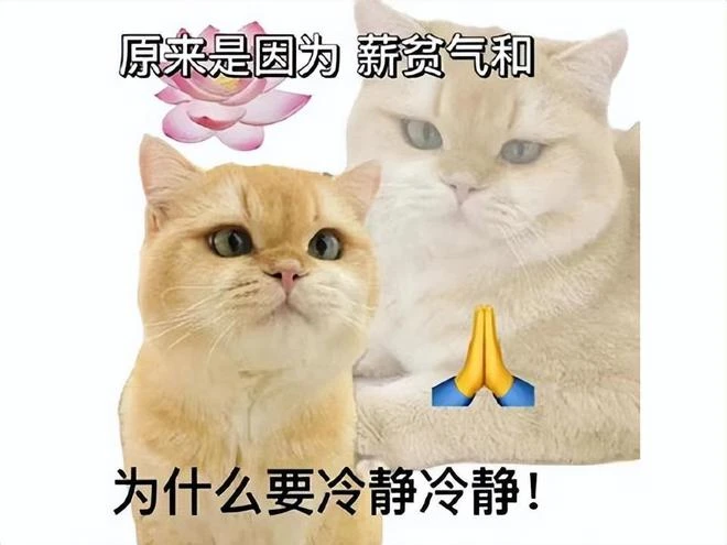 當年你在街機廳玩的遊戲，30年了還出新作，一鍵連招玩更爽了