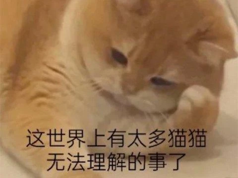 當年你在街機廳玩的遊戲，30年了還出新作，一鍵連招玩更爽了