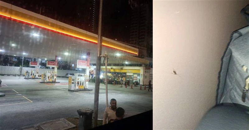 長巴咔咔響後拋錨還有蟑螂　女子大哭「以為回不到家」