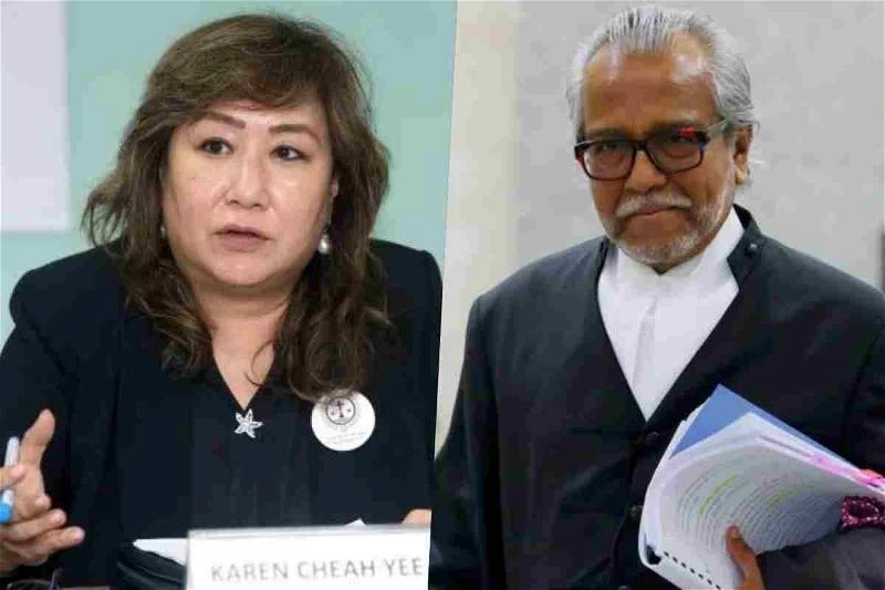 納吉獲減刑遭律師公會主席批評　沙菲宜：她應該回法學院去