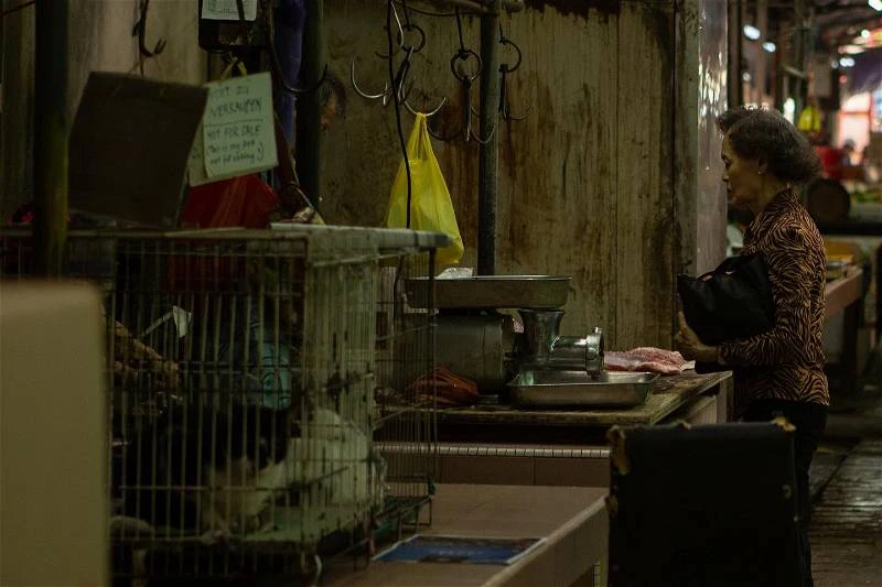 指摘茨廠街賣貓肉製造課題　網民質疑外國攝影師騙點擊率