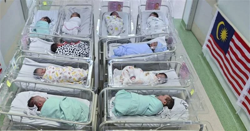 華裔生育率下降將率先影響微型華小 王鴻財促華小做好學生人數下降的準備和規劃