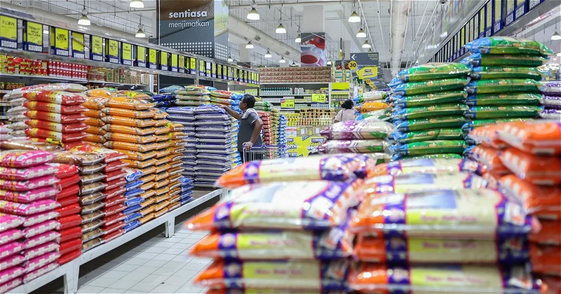 昌明大馬白米預計4月份降價